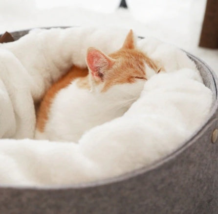 Ultra Soft Calming Pet Bed - Anti Anxiety Donut Bed for Dogs & Cats | Cozy Plush Fur